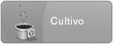 cultivo_pb