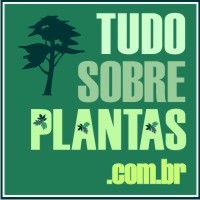 Tudo sobre plantas